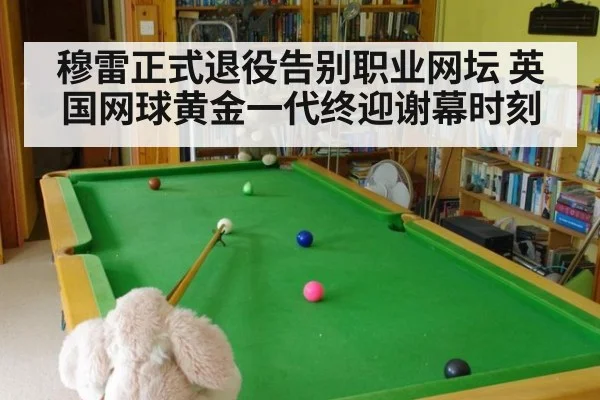 穆雷正式退役告别职业网坛 英国网球黄金一代终迎谢幕时刻
